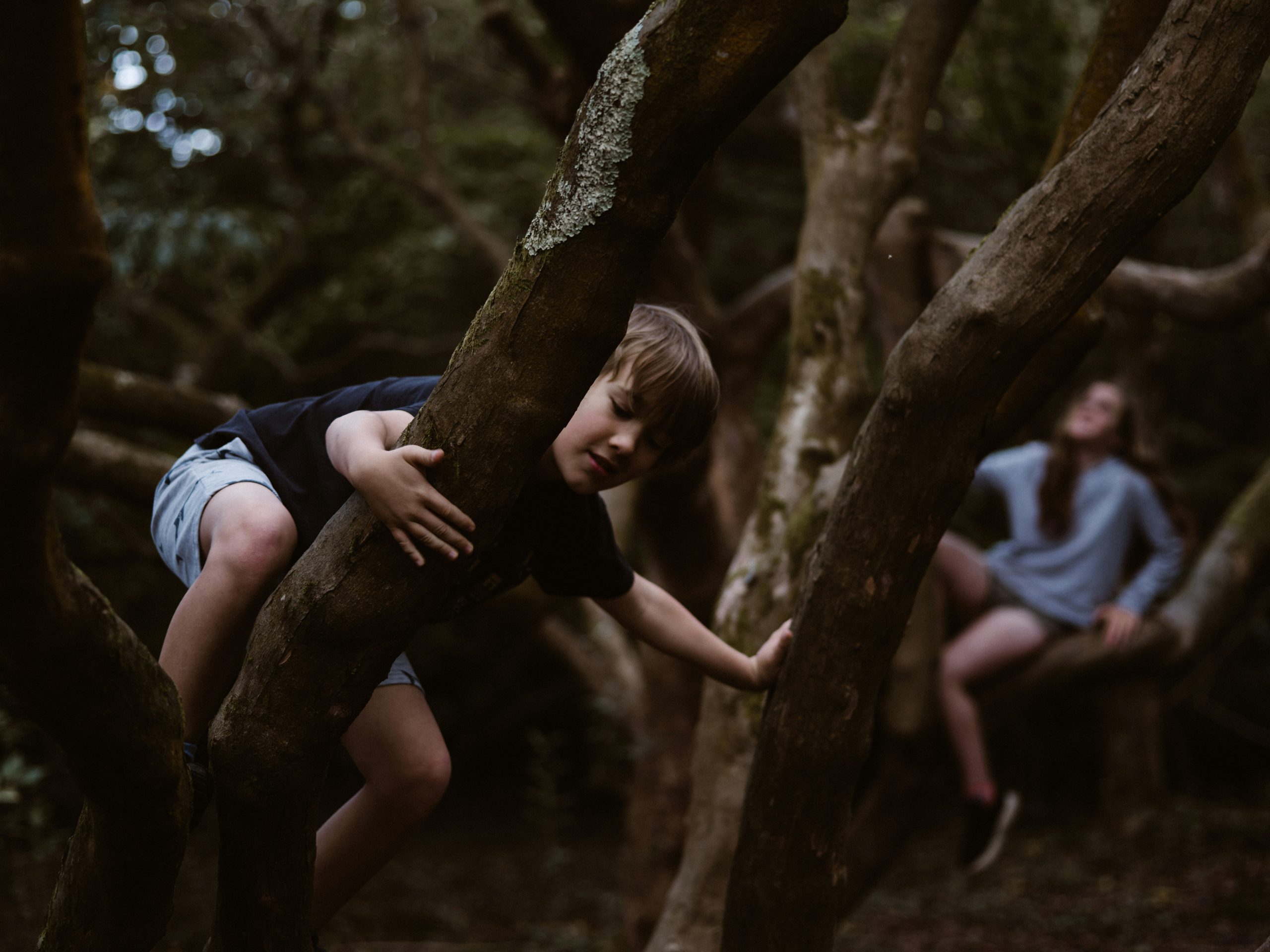 Découverte de l’école de la nature à l’école publique de Bévenais